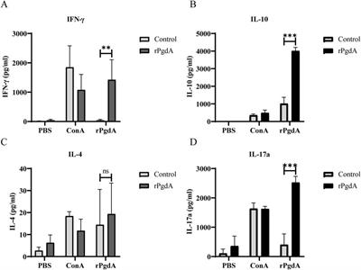 Immunization with recombinant Streptococcus pneumoniae PgdA protects mice against lung invasion